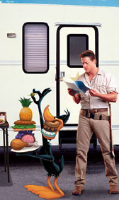 Заек срещу Паток, това е класика!