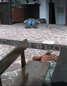 Сцена от убийството на бай Миле, при която загинаха той и още петима