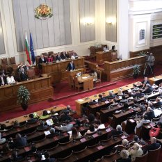 Парламентът прие единодушно предложението на Татяна Дончева