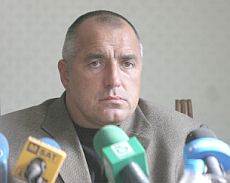Медийна звезда