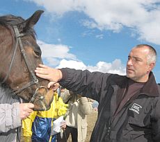 Борисов обича и конете