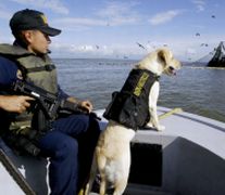 Испания пропищя от българи нарко-яхтмени