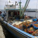 Конфискувани са две рибарски лодки на бракониерите (снимка архив)