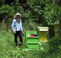 92-годишен пчелар с проект по Сапард