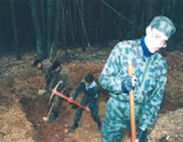 Опасно расте броят на хищниците в Русенско