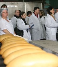 Хлебопроизводството е бизнес за около 700 млн. лв. годишно