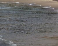 Нов разлив в Черно море близо до брега ни