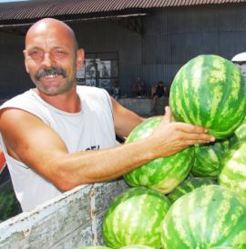 Има ли в Европа такива дини от Любимец