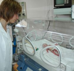 Силно недоносените близнаци имат малък шанс да оцелеят