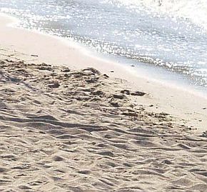 Единствено Южният плаж във Варна не става за къпане