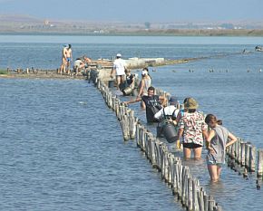 Доброволци строят остров в Поморийското езеро за гривестата рибарка