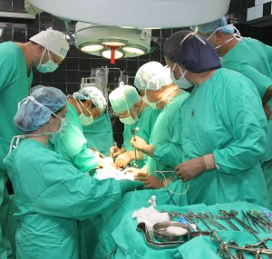Десет трансплантации извършени през август