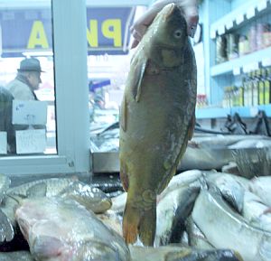 Цената на рибата скочи предпразнично