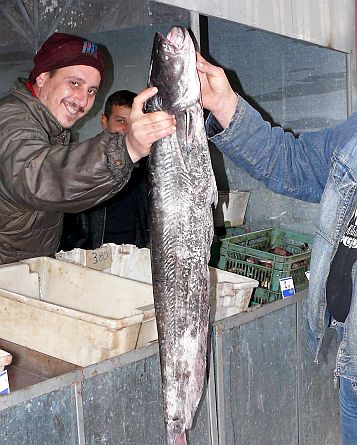 Сомът стигна 8 лв. на Димитровградския пазар