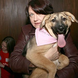 Обесиха показно бездомно куче в София