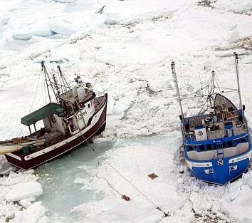 50 корабчета се нуждаят от храна или гориво