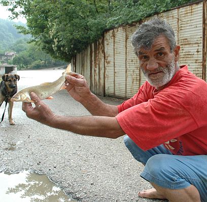 Отровена риба в река Янтра