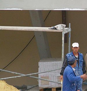 Молът ще бъде построен срещу Дунав мост