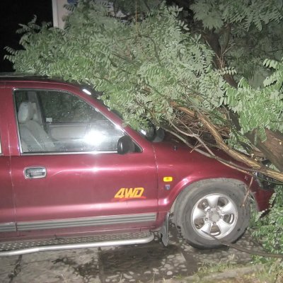 Затрупани с паднали дървете коли след бурята в Бургас