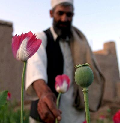 Афганистан е най-големият производител на опиум в света