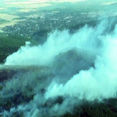 Пожарът в борова гора в с.Дълбоки обхвана 10-километрова зона