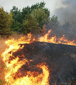 Десетки се борят да спасят село от огнената стихия