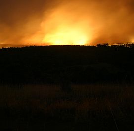 Пожарът в Перник овладян