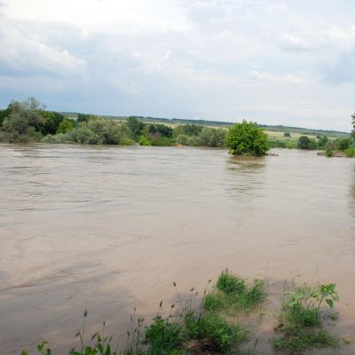 Труп на мъж откриха в Марица