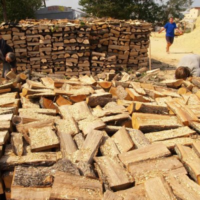 Дават дърва на 700 социално слаби семейства