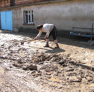 Кал и смрад в Цар Калоян
