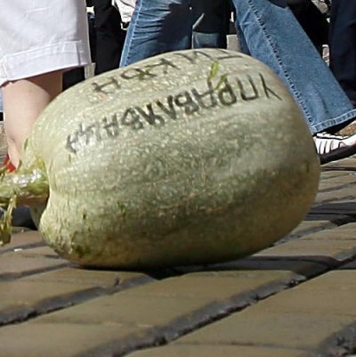Тиквата символизира отношението на българските управляващи в годините на прехода към развитието на високите технологии
