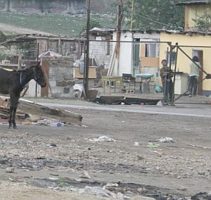 Позната ромска картинка у нас