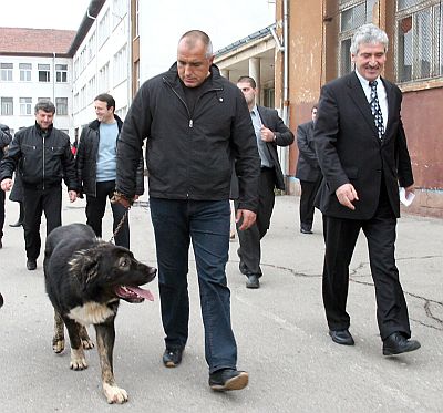 Бойко Борисов дойде с кучето си Борко да гласува