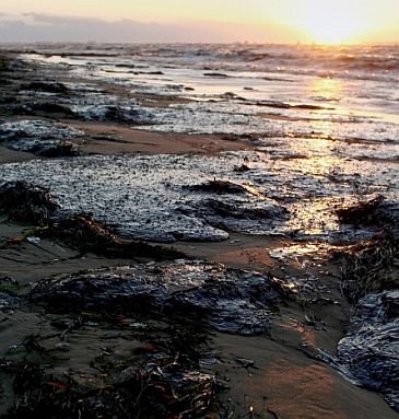 Евродепутат пита за замърсяването на морето