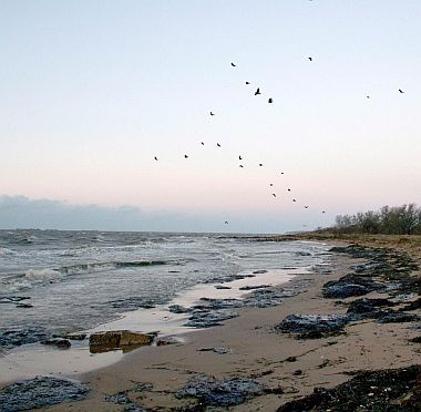 България се готви за екокатастрофа в Черно море