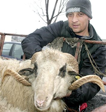 Пазар на кочове за Курбан Байрам в България