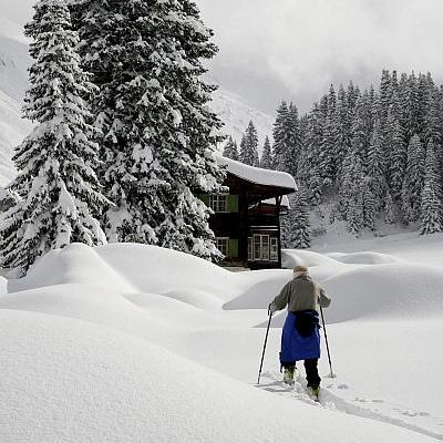 Съвет защитава ски зона Добринище