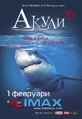 Акули 3D с тематична изложба