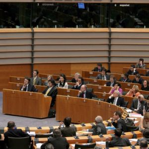 Българката, залята с киселина, може да стигне до европейския парламент в Брюксел