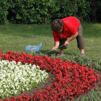 Дават пари на блокове за пейки и градинки