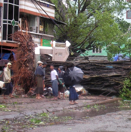 Дебело дърво е прекършено като съчка в Янгон