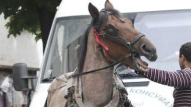 Възмутени жители на Омуртаг заснеха видеоклип на който се вижда