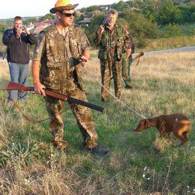 Дивечът в Русенско болен от бяс