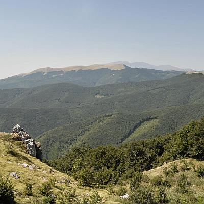 България участва в номинацията с най-представителните букови гори в деветте резервата в Стара планина