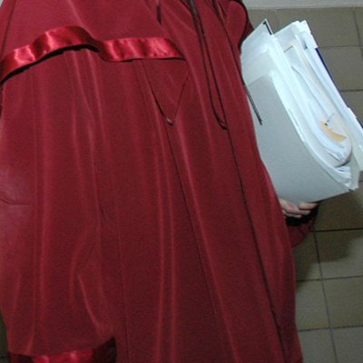 Описанията на убийство на куче разплакаха съдийка