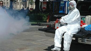 Със затопляне на времето започват първите обработки срещу ларви на