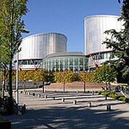 Осъдиха България в Страсбург за задържана кола