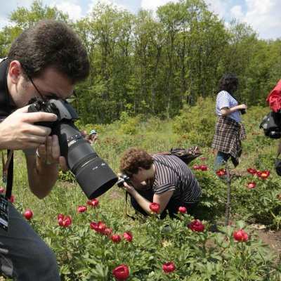 Първа ”да” за вилен комплекс в защитена зона