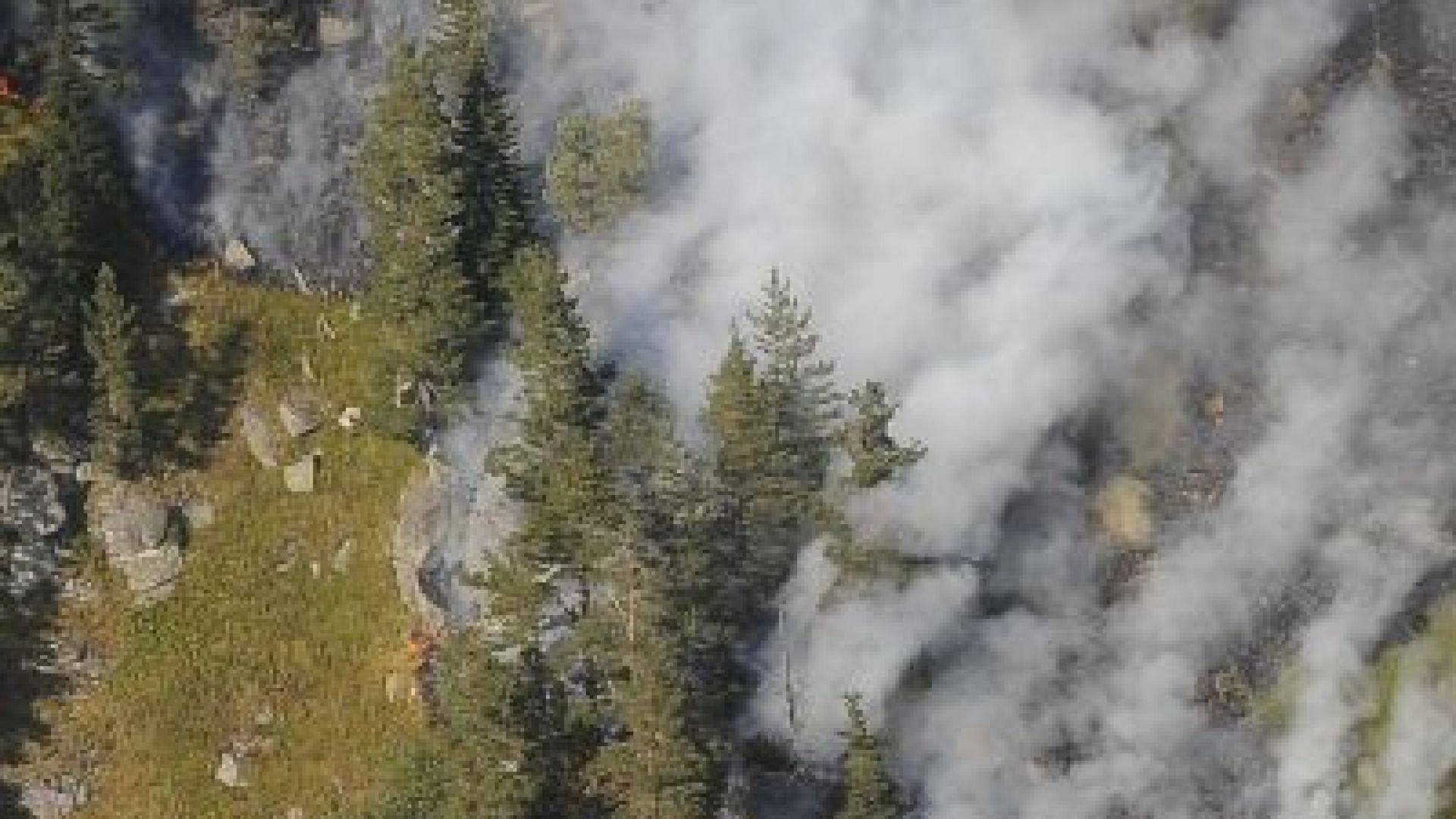 Голям пожар гори в горски територии над Долно Осеново, съобщи