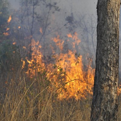 Селскостопанска машина предизвика горски пожар